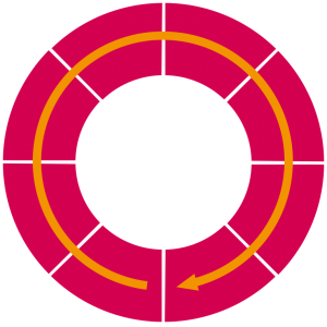 grafic_donut