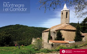 diba_montnegre