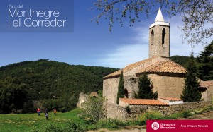 diba_montnegre
