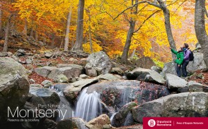 diba_montseny