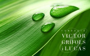 fund_grifols_principal